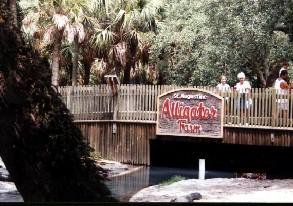 Aligator Farm