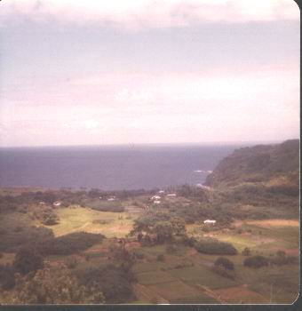 A beach house; Actual size=240 pixels wide